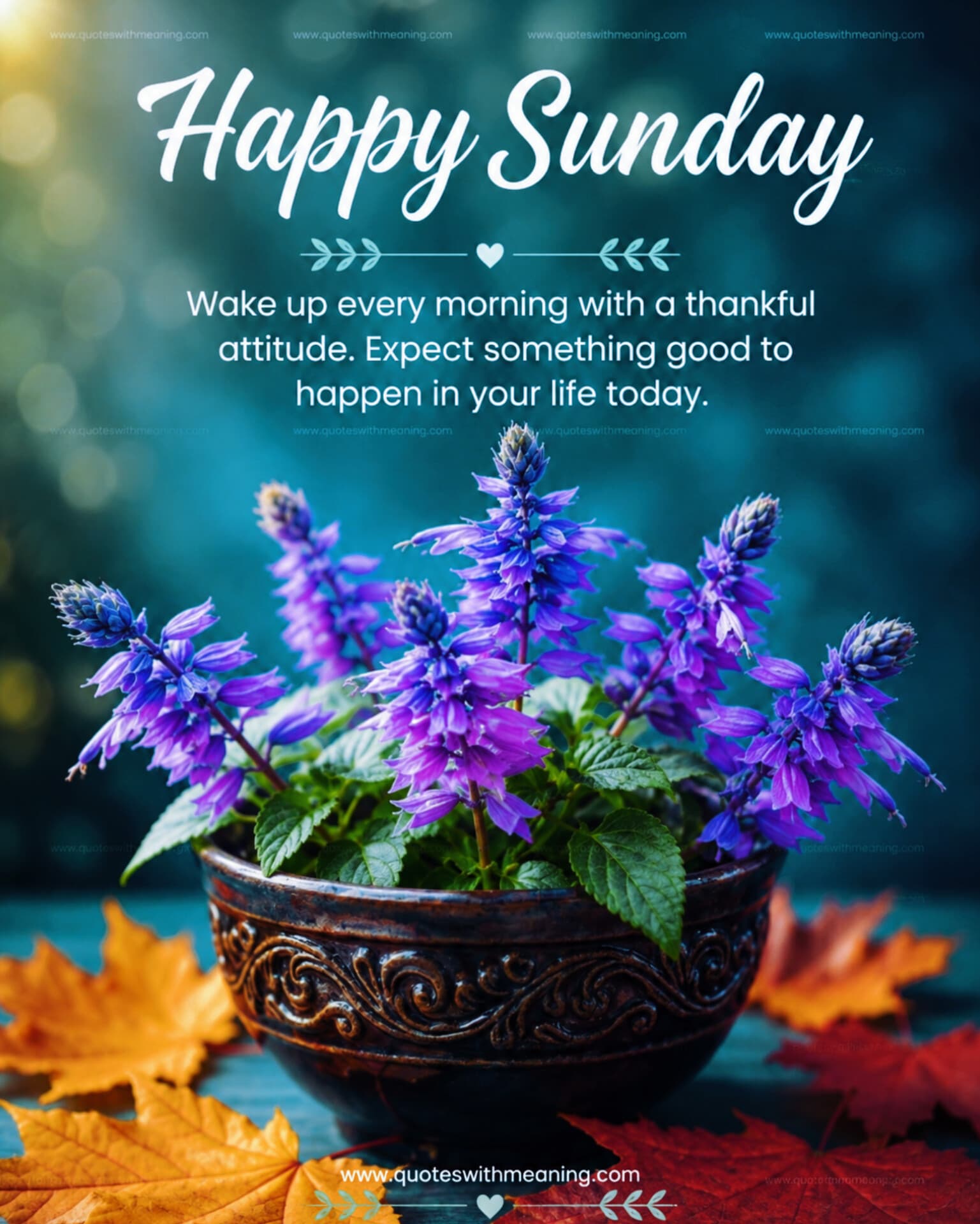 Free Sunday motivational quote image #62 — download or share